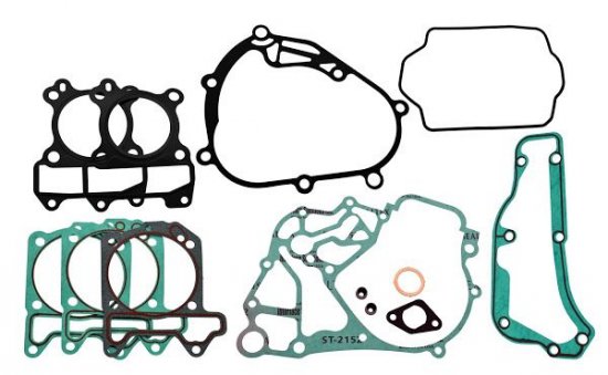 Těsnění motoru - sada RMS 100684240