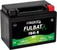 Gelová baterie FULBAT FB4L-B GEL (High Capacity) (YB4L-B GEL)